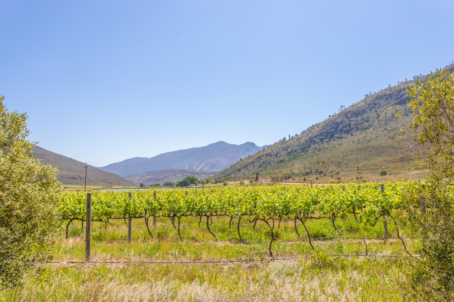 0 Bedroom Property for Sale in Franschhoek Rural Western Cape